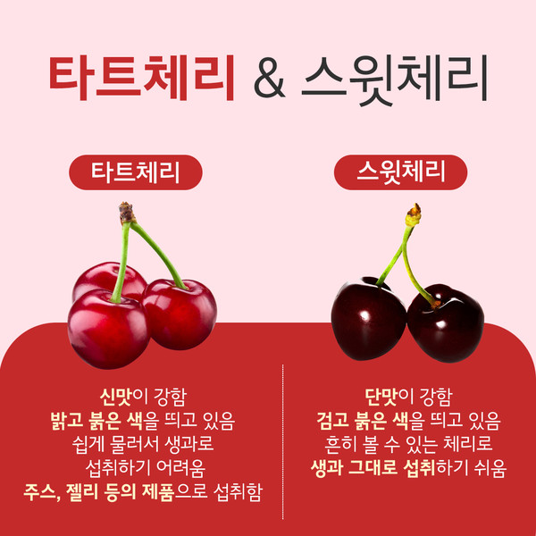 불면증에 대한 몽모랑시 타르트 체리 주스의 이점, 복용 방법 4