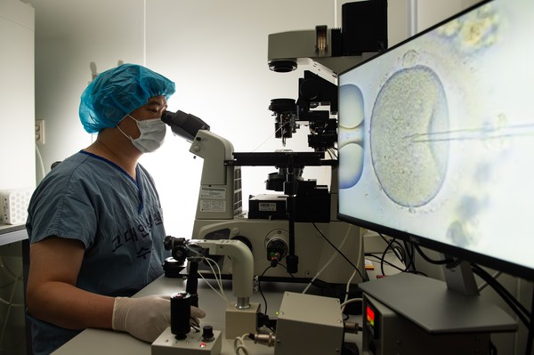 시험관아기시술을 위해 채취된 난자와 정자를 실험실에서 수정시키고 있다. (사진=고려대학교 안산병원)