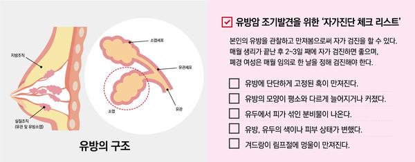 유방의 구조 및 유방암 조기발견을 위한 ‘자가진단 체크 리스트’. (순천향대 부천병원 제공)