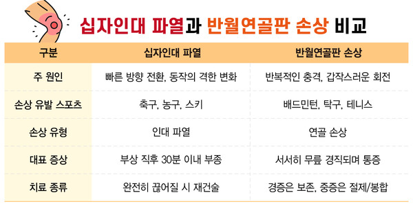 십자인대 파열과 반월연골판 손상 비교.