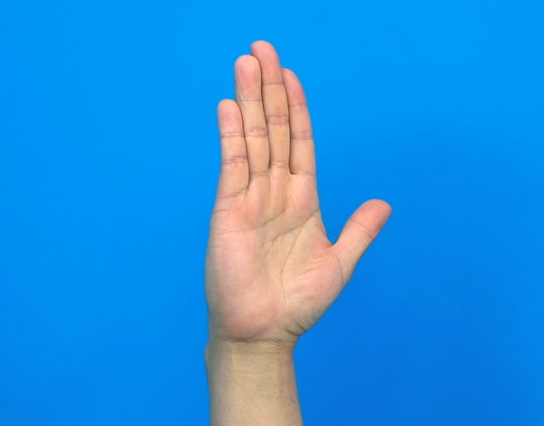 ‘Hook fist’ exercise – 손가락 관절을 그림처럼 구부렸다가 편다. 10~20회 반복한다.