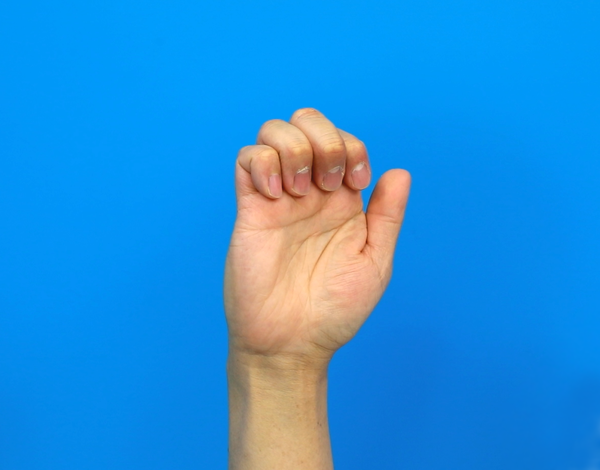 ‘Hook fist’ exercise – 손가락 관절을 그림처럼 구부렸다가 편다. 10~20회 반복한다.