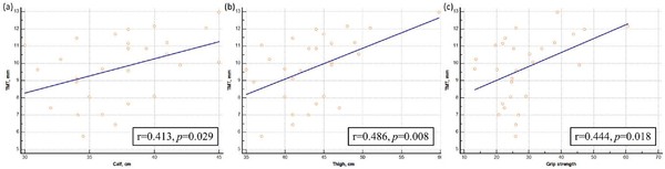 근육량·근력과 측두근 두께의 상관관계를 분석한 결과, 종아리 둘레(r = 0.413, p = 0.029), 허벅지 둘레(r = 0.486, p = 0.008), 악력(r = 0.444, p = 0.018)과 측두근 두께 사이에 중등도의 양의 상관관계가 확인됐다.(사진=인제대학교 해운대백병원)