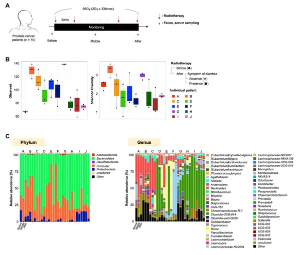 본 연구 모식도로 전립선암 환자에게 66 Gy 방사선치료(2Gy, 33회 분할 조사) 과정을 도식화하였음. 10명 전립선 암 환자의 방사선치료 전, 중, 후의 임상 시료를 활용하여 멀티 오믹스 분석을 진행하였음. (해운대백병원 제공)